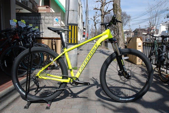 オススメ入門セミファットバイク CANNONDALE CUJOシリーズ揃ってます